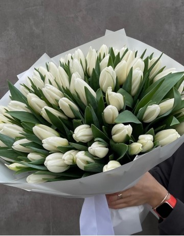 Букет из белых тюльпанов 51 шт, высота 40 см, Голландия, подарок с доставкой